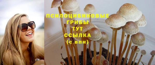 дмт Алексеевка