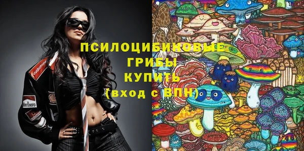 дмт Алексеевка