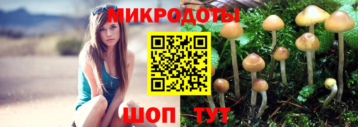 Псилоцибиновые грибы Cubensis Раменское
